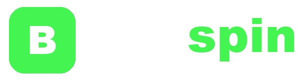 Bayspin logo